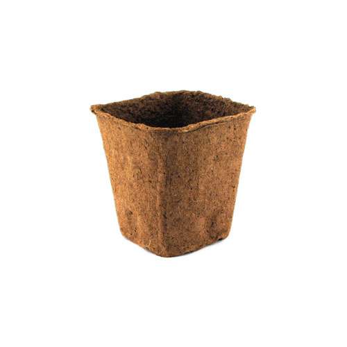 Peat Pot